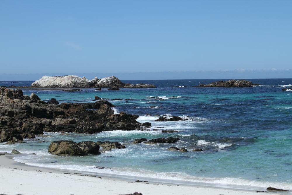 beach02_1482.JPG