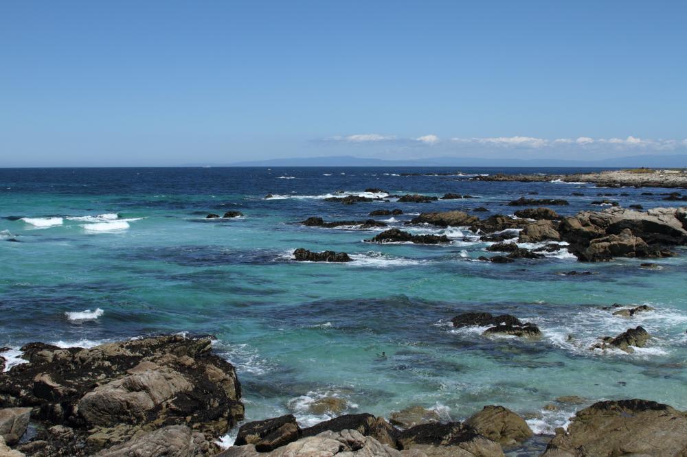 beach04_4783.JPG