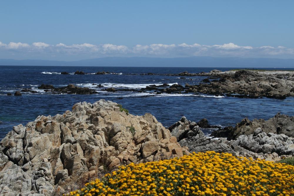 beach05_7955.JPG