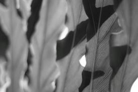 bw02_1273.JPG