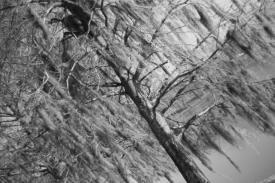 bw04_5942.JPG