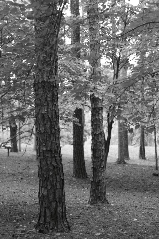 bw09_5856.JPG