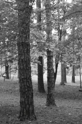 bw09_8166.JPG