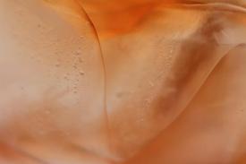 other05_6355.JPG