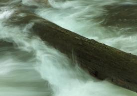 scene05_2453.JPG