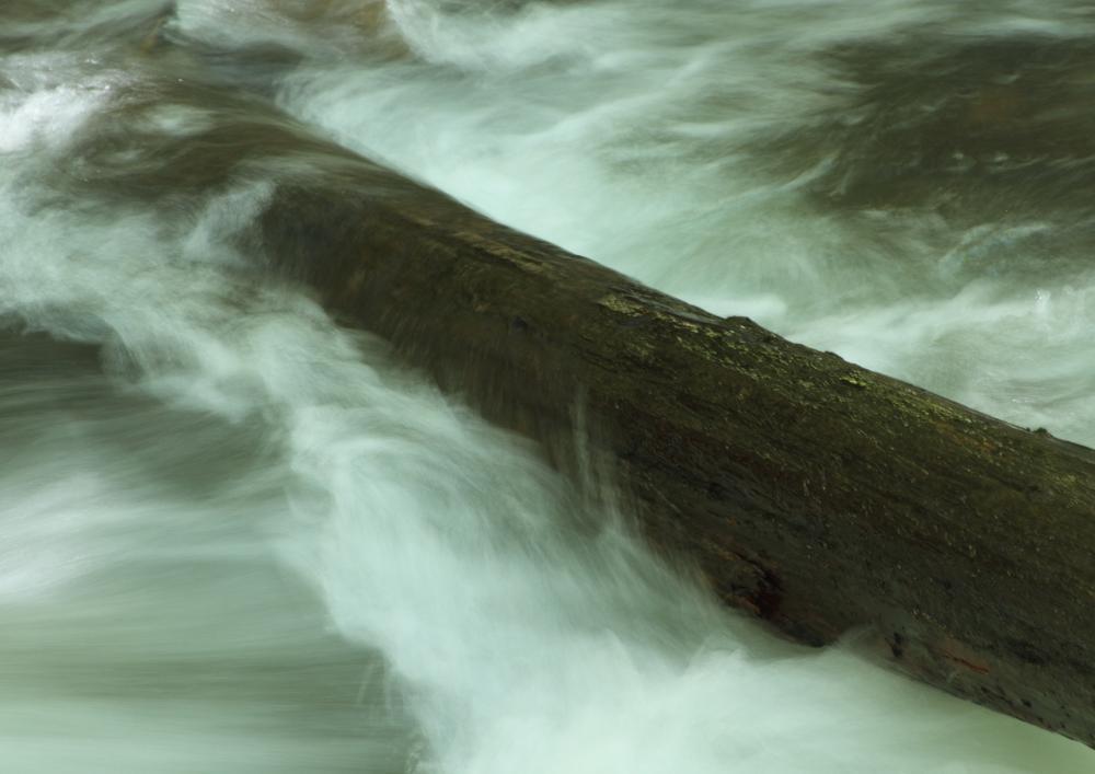 scene05_9445.JPG