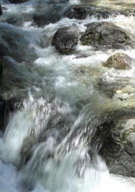 scene06_6583.JPG