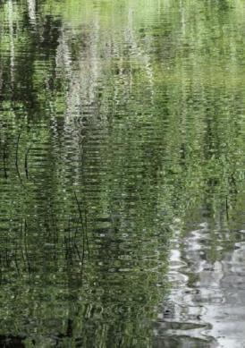 scene07_6491.JPG